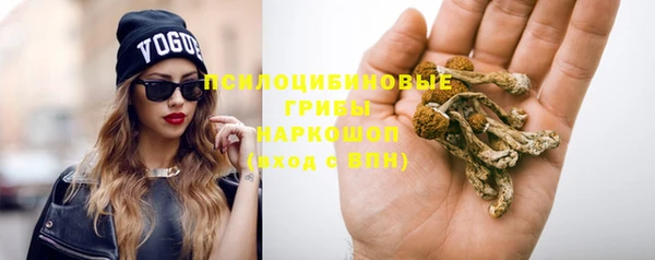 ECSTASY Балахна