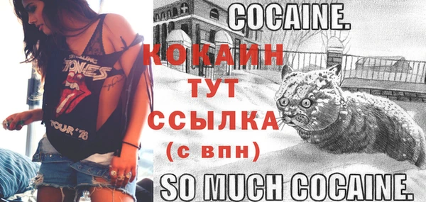 ECSTASY Балахна